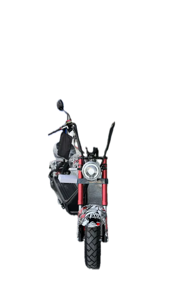 IMG_1574 Background Removed.webp