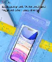 8068314.webp