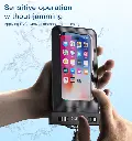 8068348.webp
