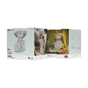 Green Lion Vintage Kitchen Scale - Cream (1).webp