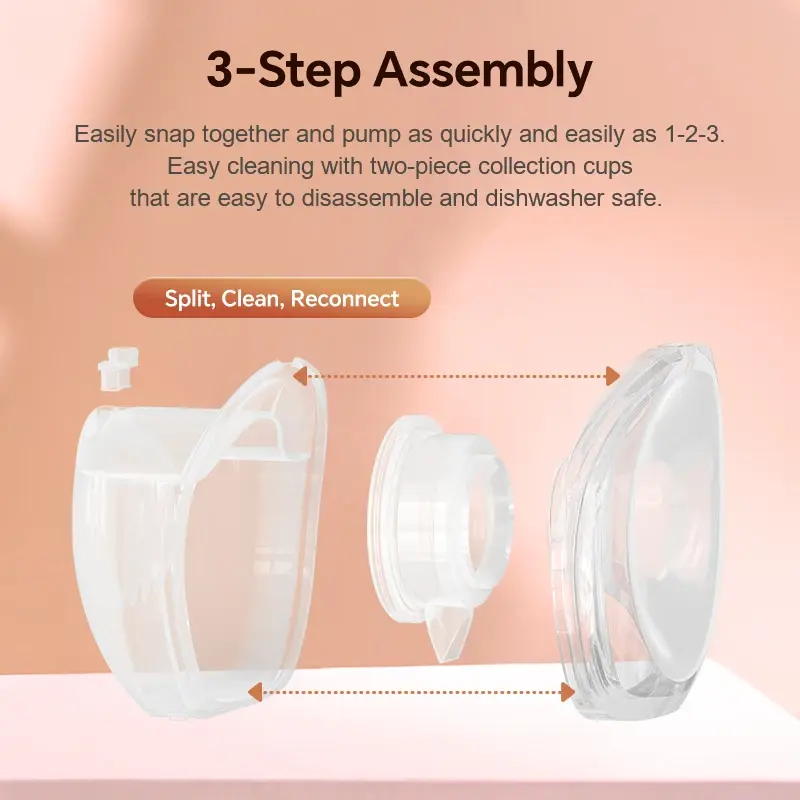 main-image-2.webp