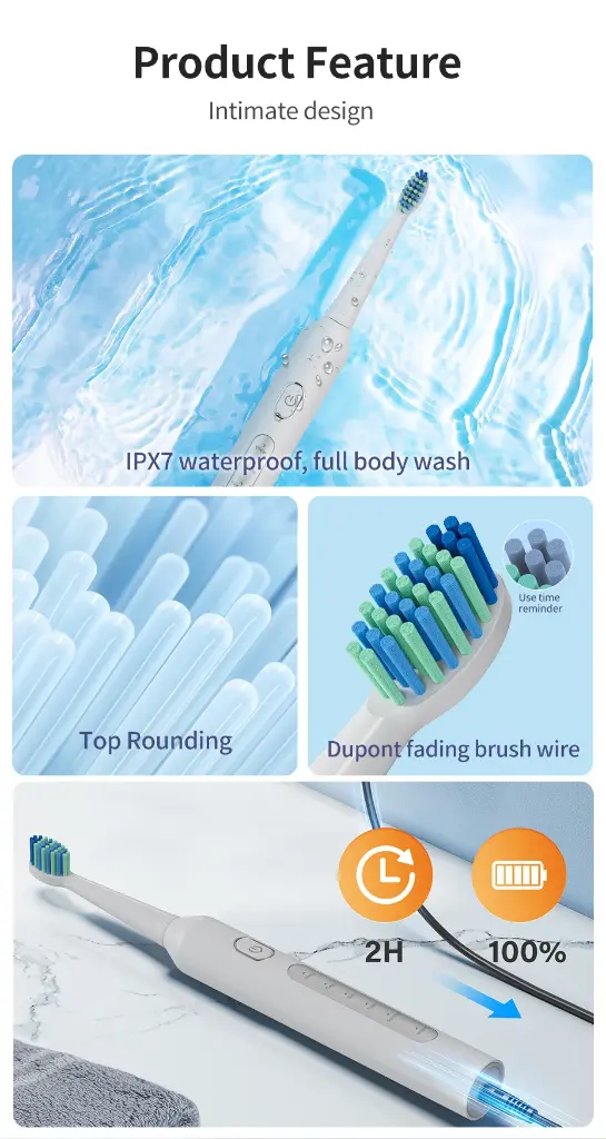main-image-6.webp