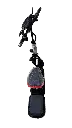 IMG_3145 Background Removed.webp