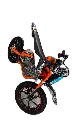 IMG_3160 Background Removed.webp