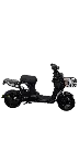 IMG_3209 Background Removed.webp