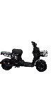 IMG_3208 Background Removed.webp
