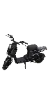 IMG_3205 Background Removed.webp