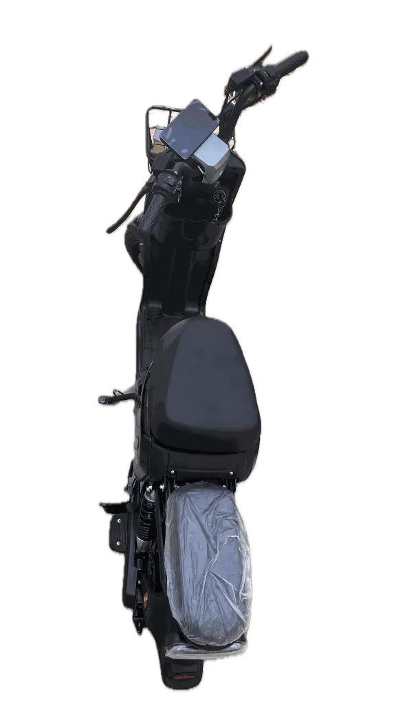 IMG_3207 Background Removed.webp