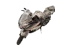 WhatsApp Image 2025-08-18 at 11.10 Background Removed.34.webp