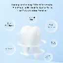 6_7f251bda-6672-4e5d-b0b8-b8c5d2c21cd4.webp