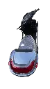 IMG_3463 Background Removed.webp