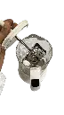 IMG_3573 Background Removed.webp
