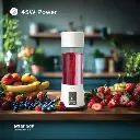 Green Lion Juice Mate Portable Juicer 380mL WH4.webp