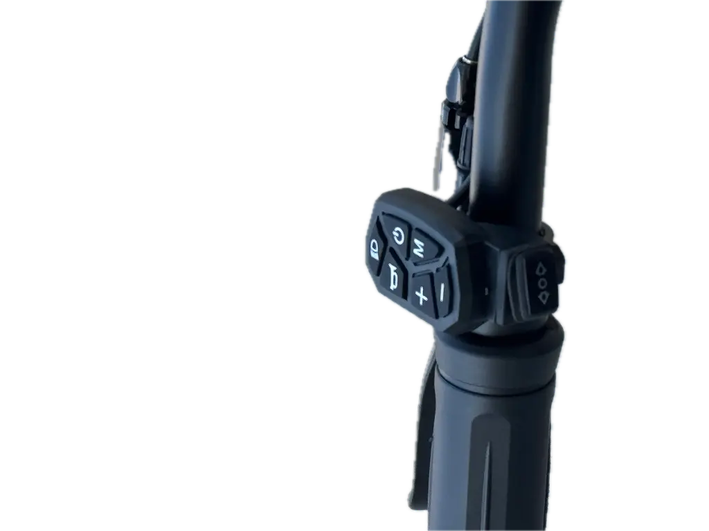 IMG_9536 Background Removed.webp