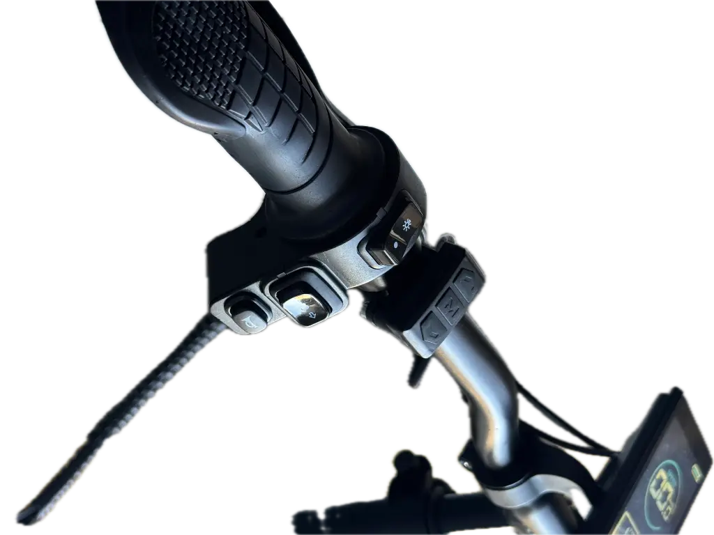 IMG_0224 Background Removed.webp