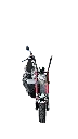 IMG_1574 Background Removed.webp