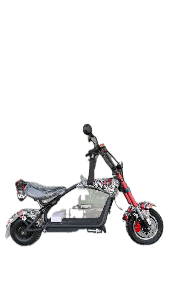 IMG_1573 Background Removed.webp