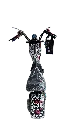 IMG_1576 Background Removed.webp