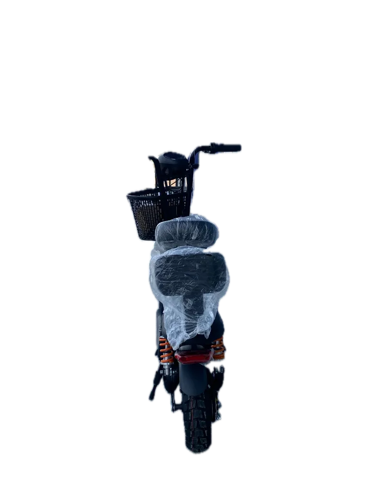 IMG_7796 Background Removed.webp