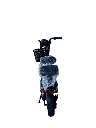 IMG_7796 Background Removed.webp