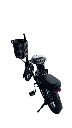 IMG_4123 Background Removed.webp