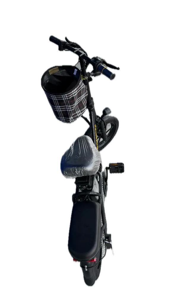 IMG_4122 Background Removed.webp
