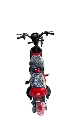 IMG_4118 Background Removed.webp