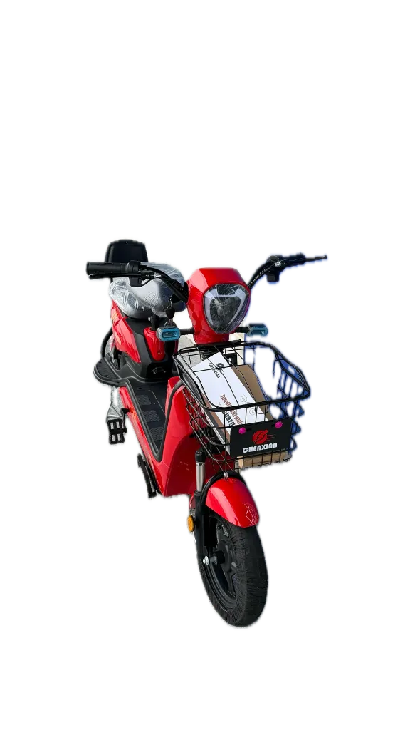 IMG_4120 Background Removed.webp