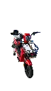IMG_4120 Background Removed.webp
