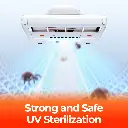 StrongandSafeUVSterilization.webp