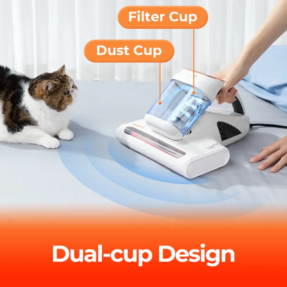 Dual-cupDesign.webp