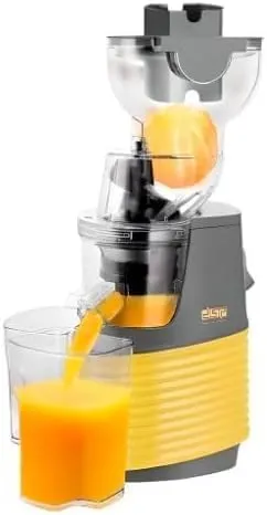 DSP Slow Juicer KJ-3071