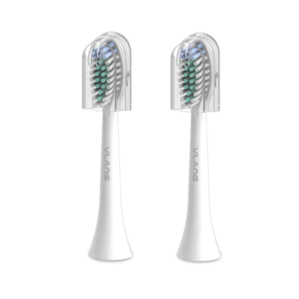 قطع استبدال لفرشاة الاسنان boidmi toothbrush t501 replacement 2 pcs