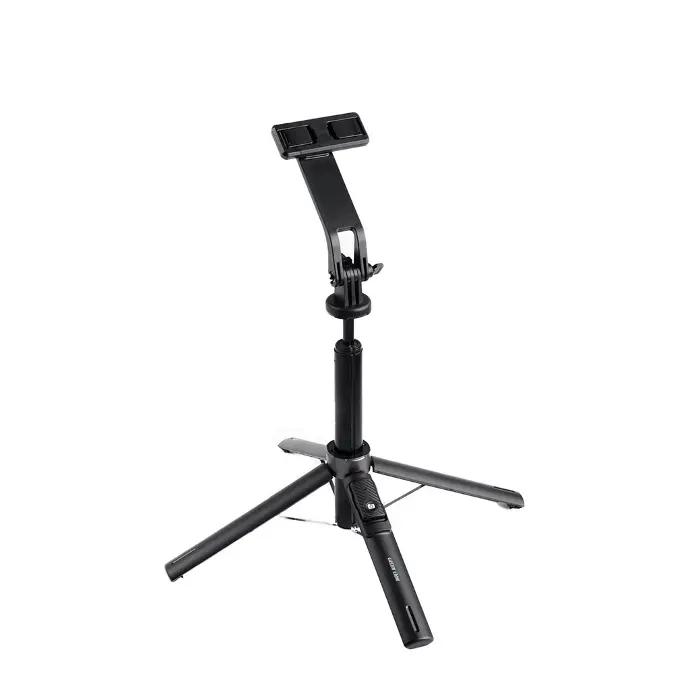 Green Lion Click Stick Capturing Memories GNCLISTICKBK