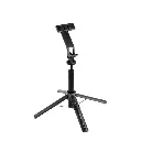 Green Lion Click Stick Capturing Memories GNCLISTICKBK