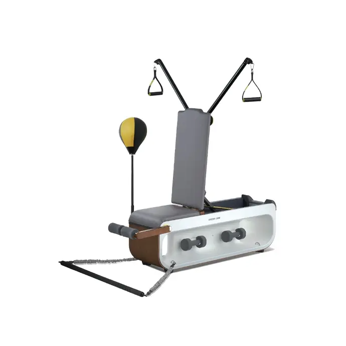 مقعد اللياقة البدنية متعدد الوظائف جرين ليون GNMULFITCHGY