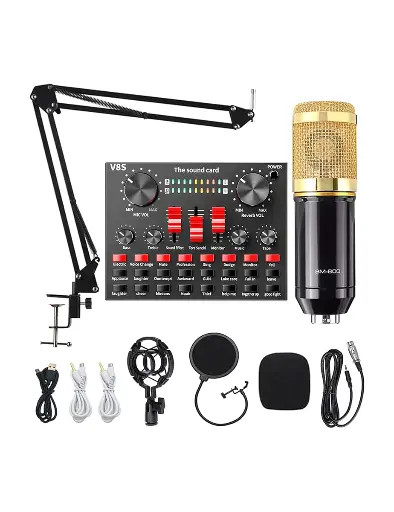 نظام صوتيات احترافي مع مايكرفون INTEX V8S Professional Legendary Vocal Condenser Microphone