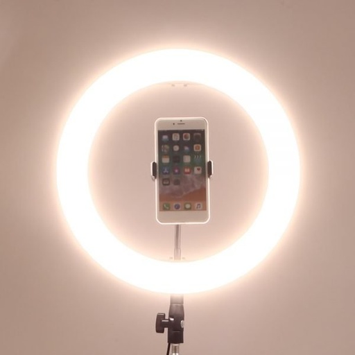 Dimmable multi-colored ring light