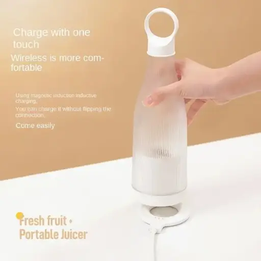 Fresh Juice Portable Mini Fruit Blender 450mL