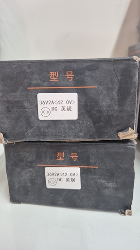 Spear Lwei 36v2a 42.OV DC Charger